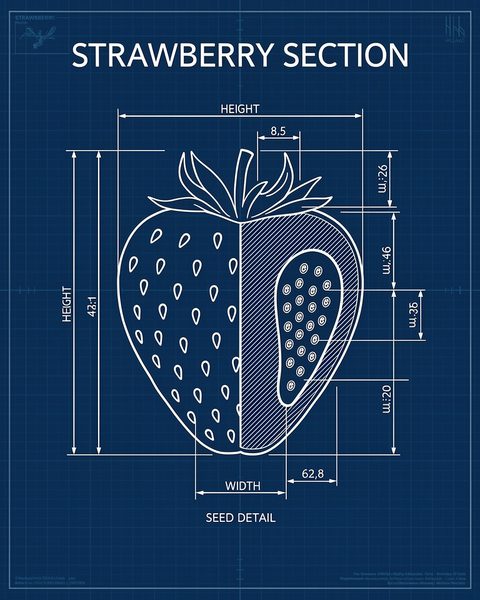 Blueprint poster preset — real output